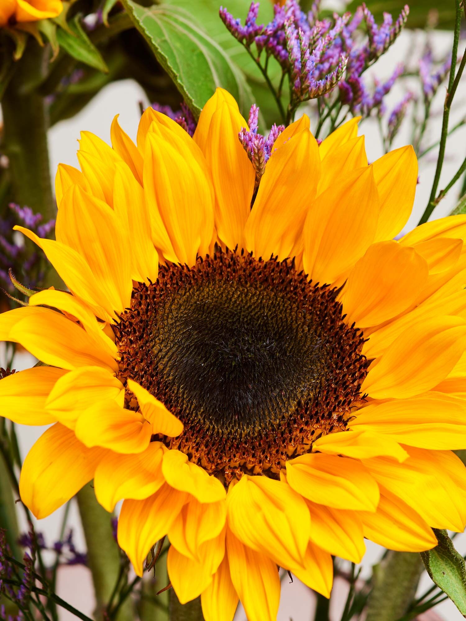 You're my sunshine